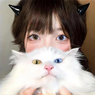 最佳损友闯情关粤语